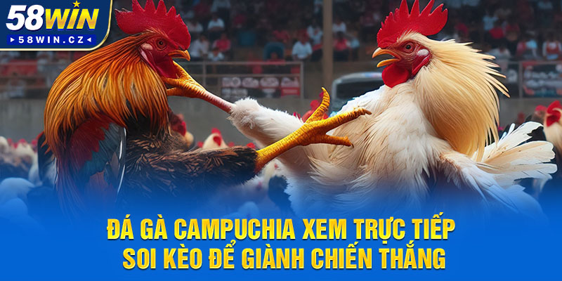 da-ga-campuchia-xem-truc-tiep-soi-keo-de-gianh-chien-thang
