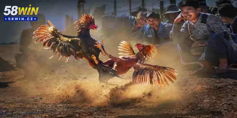 Soi Kèo Đá Gà 2025 - Đánh Giá Kèo Và Cách Tối Đa Lợi Nhuận 6 Soi kèo đá gà chuẩn, tối ưu chiến thắng